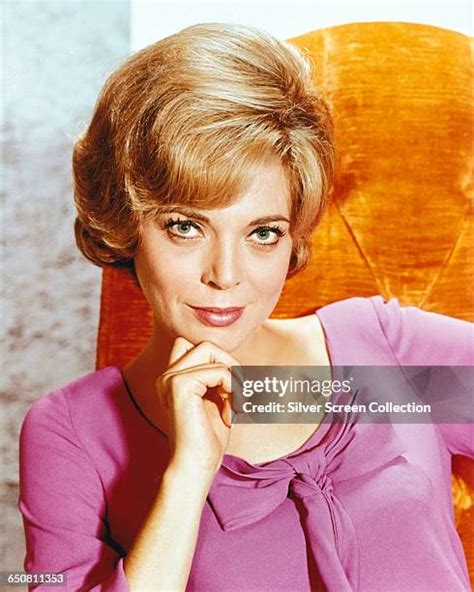 barbara bain sexy|799 Barbara Bain Photos & High Res Pictures